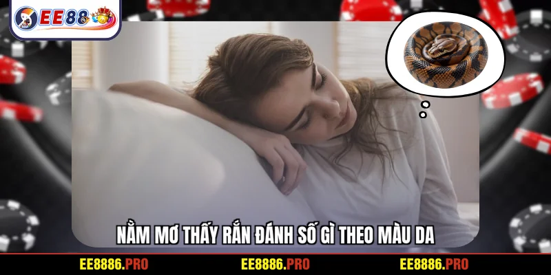 Nằm mơ thấy rắn đánh số gì theo màu da